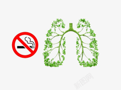 烟免扣图绿色树叶的肺部结构图图标高清图片