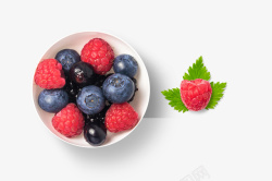 红梅蓝莓水果素材