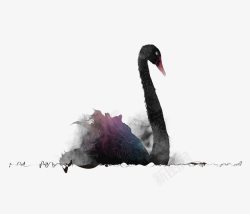 创意黑天鹅图片手绘黑天鹅创意图案高清图片