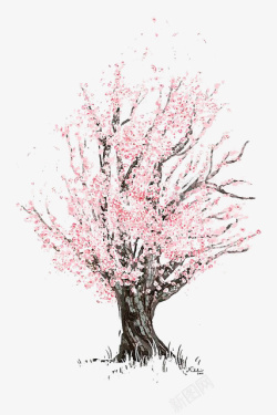 美丽樱花树素材