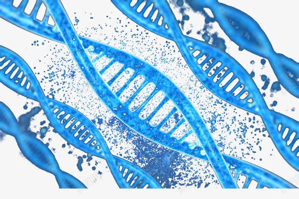 蓝色DNA分子png免抠素材_新图网 https://ixintu.com 分子 基因 技术 科技 蓝色