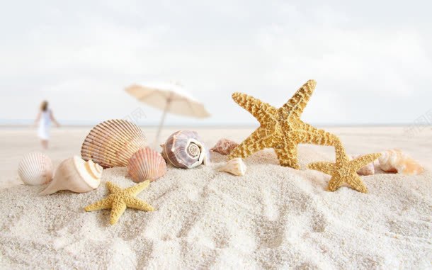 白白的沙滩海星太阳伞jpg设计背景_新图网 https://ixintu.com 沙滩 海星 白白 阳伞