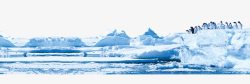 寒冷企鹅冰川上的企鹅高清图片