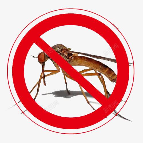 禁止蚊子标志图标png_新图网 https://ixintu.com 产品功效 图标 宣传 广告 灭蚊 装饰 驱蚊液