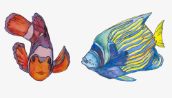 鱼水彩画水彩油画鱼类高清图片