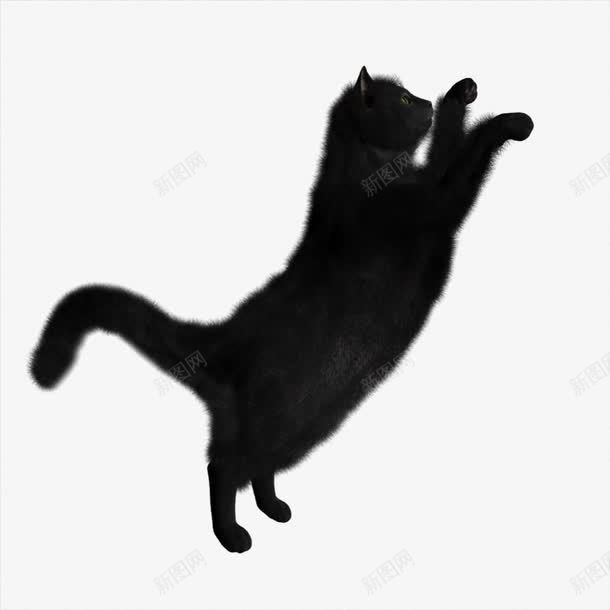 跳跃的猫png免抠素材_新图网 https://ixintu.com 剪影 动物 水墨底图 水墨画猫 猫 黑色
