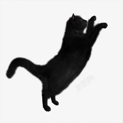 水墨画猫跳跃的猫高清图片