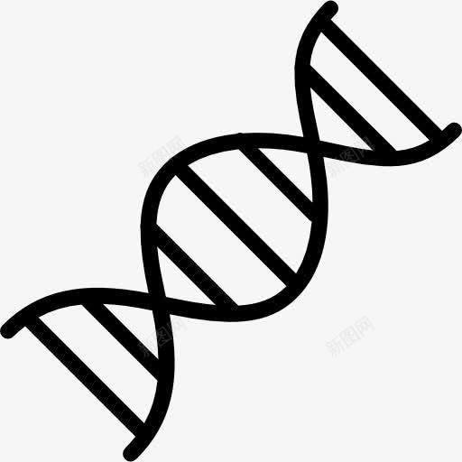 DNA图标png_新图网 https://ixintu.com DNA DNA结构 医学 教育 生物学 科学 脱氧核糖核酸 遗传