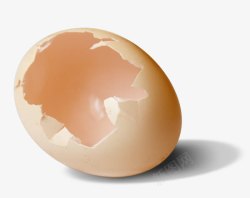 实拍鸡蛋壳破壳的鸡蛋高清图片