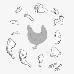 鸡肉类黑白简洁手绘鸡肉鸡的分解高清图片