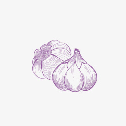 紫皮蒜手绘大蒜背景矢量图高清图片