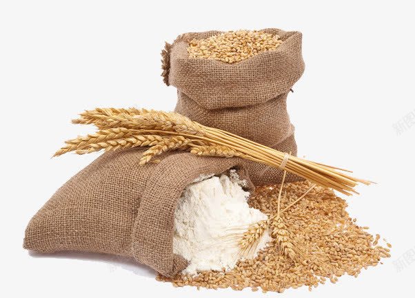 小麦面粉png免抠素材_新图网 https://ixintu.com 小麦 面粉 食物