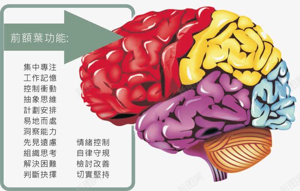 专注力分析png免抠素材_新图网 https://ixintu.com 专注力分析 专注品质 大脑 平面设计 设计元素