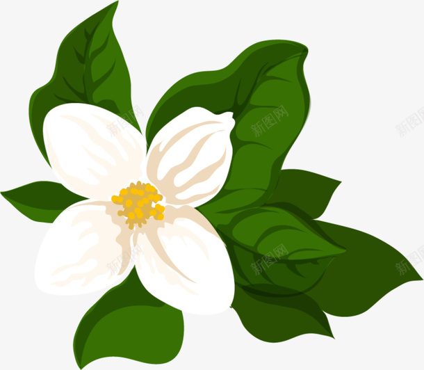 唯美白色花朵png免抠素材_新图网 https://ixintu.com 唯美花朵 栀子花 水彩 白色花朵 白色花瓣 绿色叶子