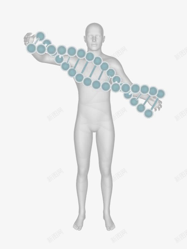 三维人体模型png免抠素材_新图网 https://ixintu.com 三维人体模型 人头 基因 基因组合 基因结构 模型