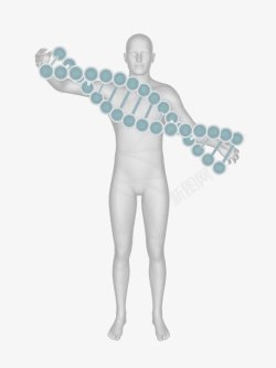 人体基因三维人体模型高清图片
