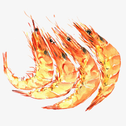 水彩虾金黄色虾类图案绘画高清图片