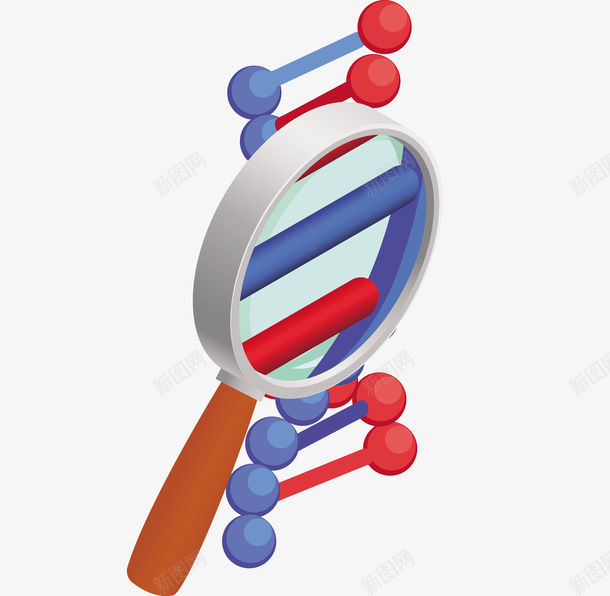 一个DNA分子与放大镜矢量图eps免抠素材_新图网 https://ixintu.com DNA 放大镜 灰色 灰色放大镜 矢量DNA 矢量放大镜 矢量图