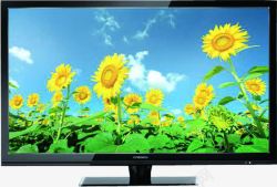 显示器黄色向日葵花朵蓝天白云电视显示器高清图片
