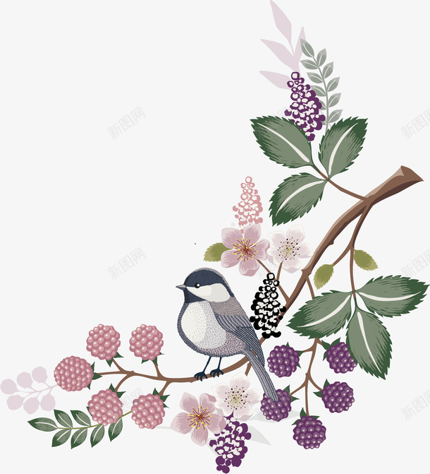花鸟图边框png免抠素材_新图网 https://ixintu.com 动物 树叶 植物 紫色 花朵 设计 边框