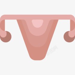 生殖系统解剖子宫图标高清图片
