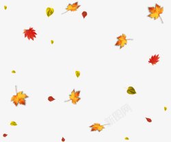飘落的秋叶秋叶飘落高清图片