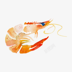 虾类彩色水墨虾类美食元素高清图片