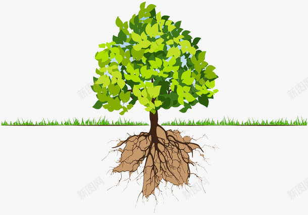 一棵绿树的地上地下png免抠素材_新图网 https://ixintu.com 大树 枝叶 树枝 树根 根部 植物根系 生长 绿叶 绿树 草地
