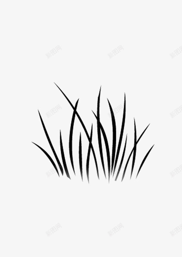 绘画植物图标png_新图网 https://ixintu.com 小草 简笔画 绘画植物 芒草 黑白