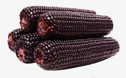 黑玉米实拍东北特色紫玉米高清图片