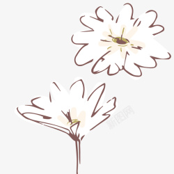 花卉被芯白色花朵唯美手绘矢量图高清图片
