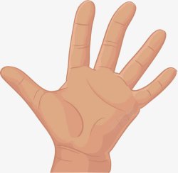 人的指头五个手指头高清图片