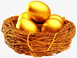 鸟巢中的金蛋鸟巢的金蛋高清图片