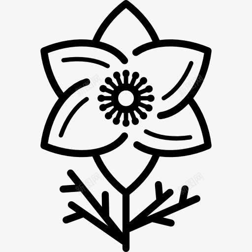 海葵图标png_新图网 https://ixintu.com Ranunculaceae 公园 园林 园艺 海葵图片 自然 花卉