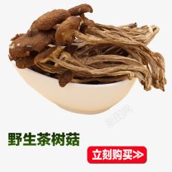 野生茶树菇素材