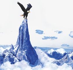 飞翔的老鹰蓝色山峰高清图片