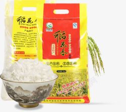 香稻米稻米香大米高清图片