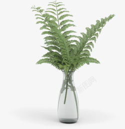 绿意装饰的绿意花瓶高清图片