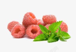 野草莓一堆野草莓高清图片