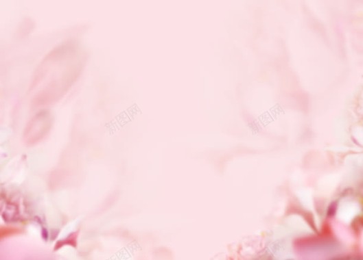 粉色丝绸背景片背景
