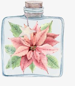 玻璃漂流瓶漂流瓶和植物高清图片