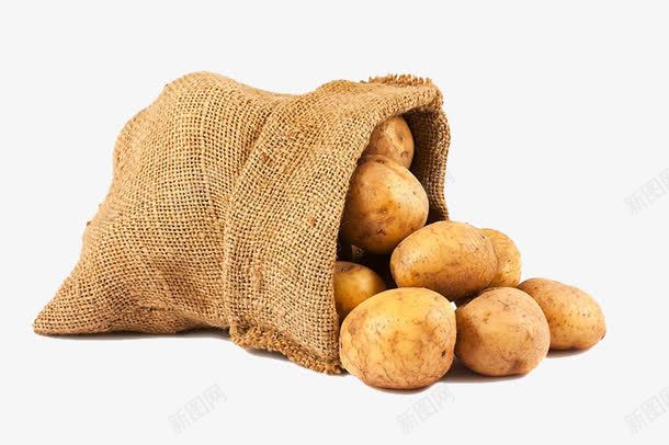 麻袋里倒出的土豆png免抠素材_新图网 https://ixintu.com 一堆土豆 袋子 食材原料 马铃薯 麻袋