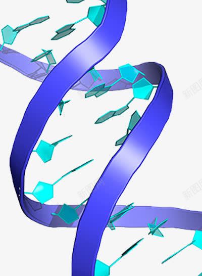 DNA分子结构psd免抠素材_新图网 https://ixintu.com 基因检测 效果图 旋转 生物 细胞