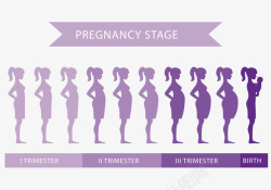 女性怀孕体型的变化素材