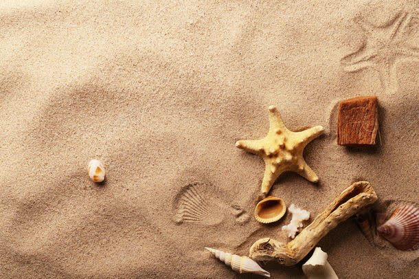 沙滩上的海星与贝壳jpg设计背景_新图网 https://ixintu.com 其它类别 别克 图片素材 沙滩 沙滩上的海星与贝壳图片 沙滩上的海星与贝壳图片素材下载 海星 海螺 背景花边