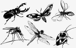 黑白蚊子素材昆虫水墨高清图片