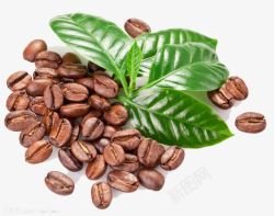 绿叶大生活咖啡豆高清图片