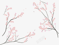 粉红色日本日本樱花节樱花树枝高清图片