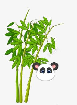 拿着筷子的熊猫拿着竹子的大熊猫高清图片