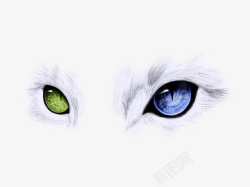 两只分别为蓝色和绿色的猫眼睛素材